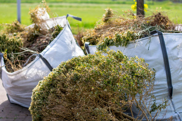 Professional Junk Removal Services in Victoria, TX